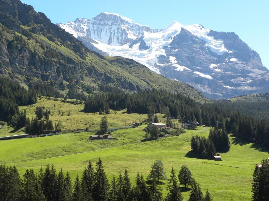 Apartment With Great View At Residence Brunner Wengen Exterior foto