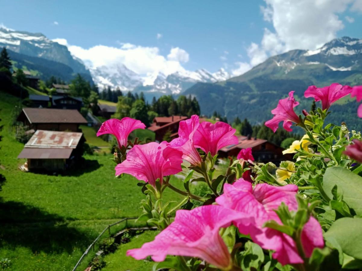 Apartment With Great View At Residence Brunner Wengen Exterior foto